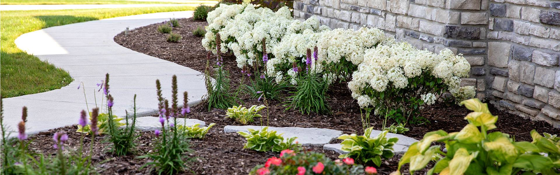 Summer Landscape Success: How to Fertilize Without Frying Your Garden 🌞